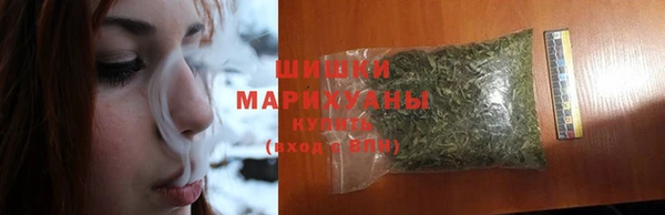 индика Саяногорск