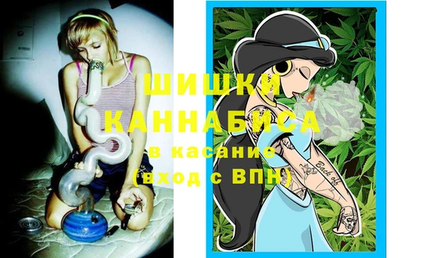 гашик Белоозёрский
