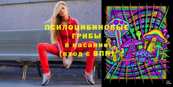 прущий лед Белокуриха