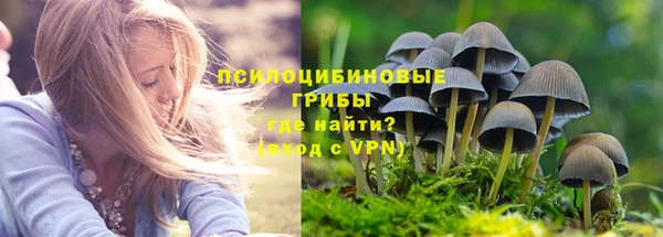 гашик Белоозёрский