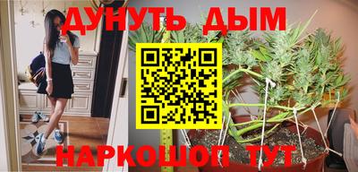 прущая мука Кингисепп