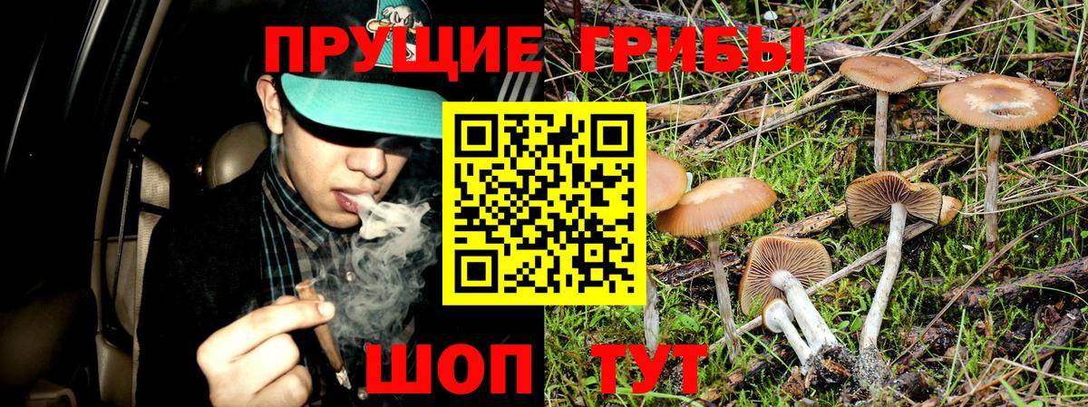 Галлюциногенные грибы мицелий Луховицы