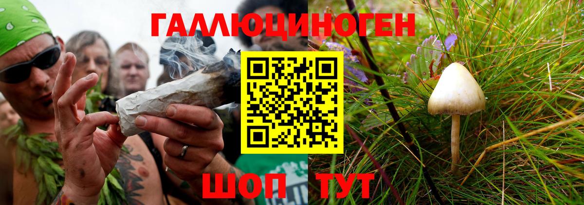 Луховицы  Псилоцибиновые грибы Cubensis  Вход с VPN  Галлюциногенные грибы мицелий 